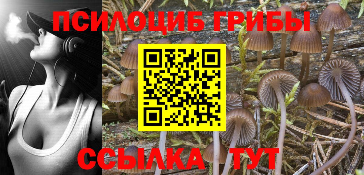 Галлюциногенные грибы MAGIC MUSHROOMS Киров