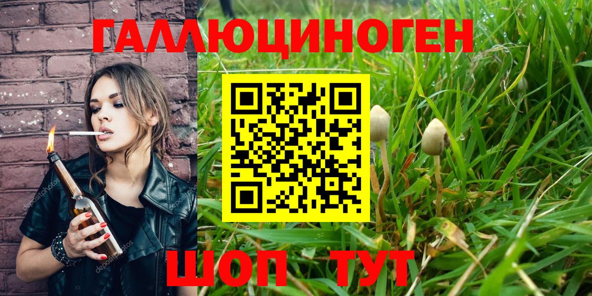 Киров  Галлюциногенные грибы Magic Shrooms  Вход с VPN  Псилоцибиновые грибы Cubensis 